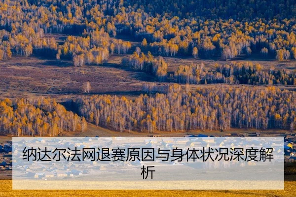 na-da-er-fa-wang-tui-sai-yuan-yin-yu-shen-ti-zhuang-kuang-shen-du-jie-xi-2-635.jpg